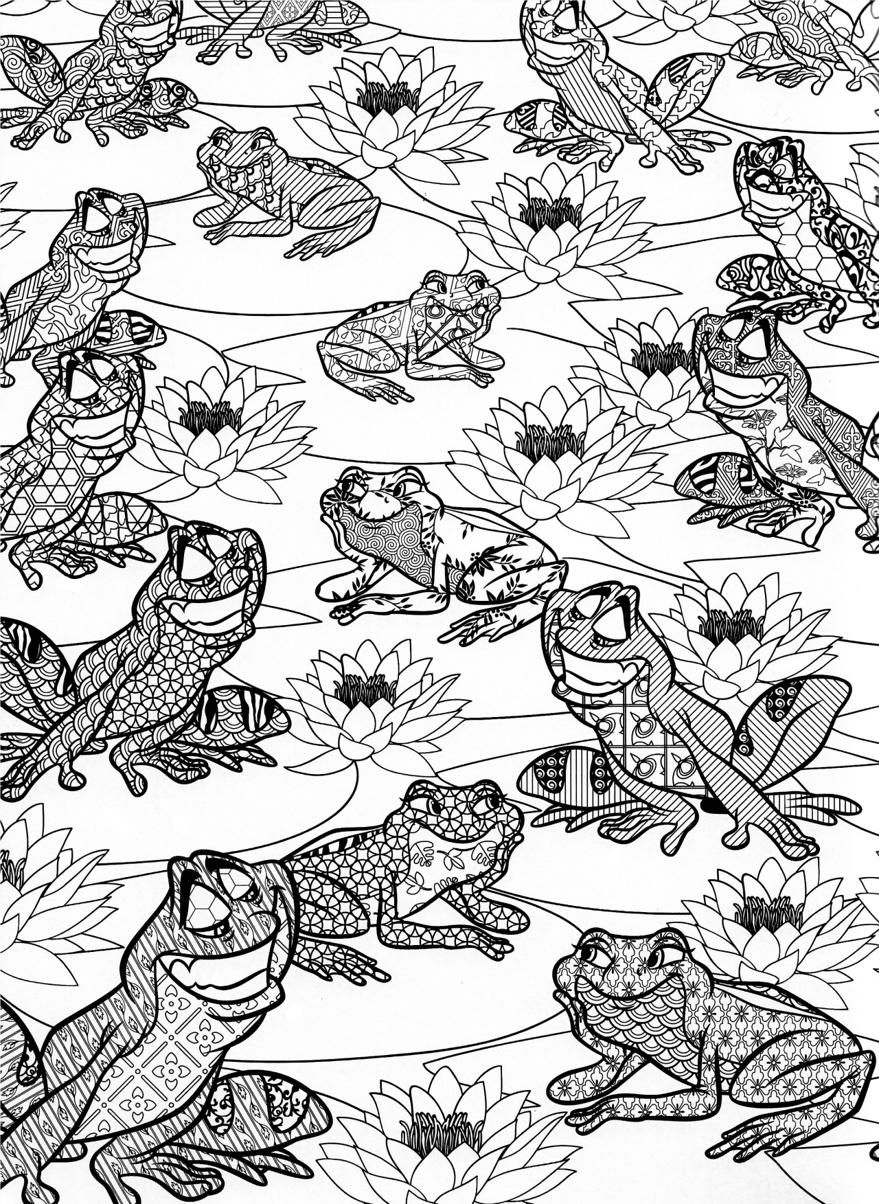 45 Frog Coloring Pages for Adult Free Printable 22