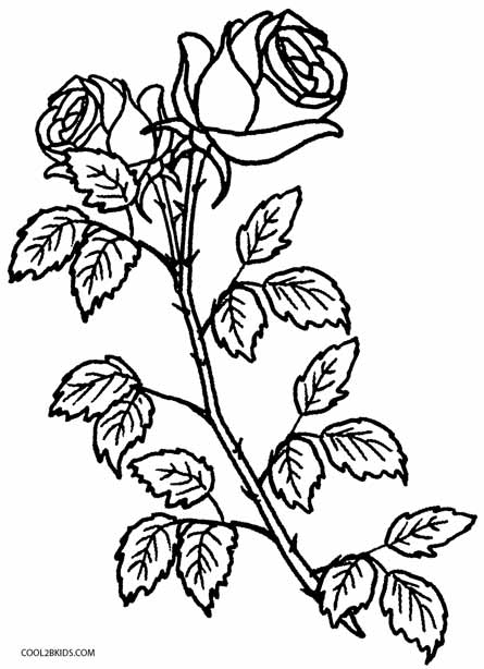 111+ Rose Coloring Pages: Beautiful and Blooming 113