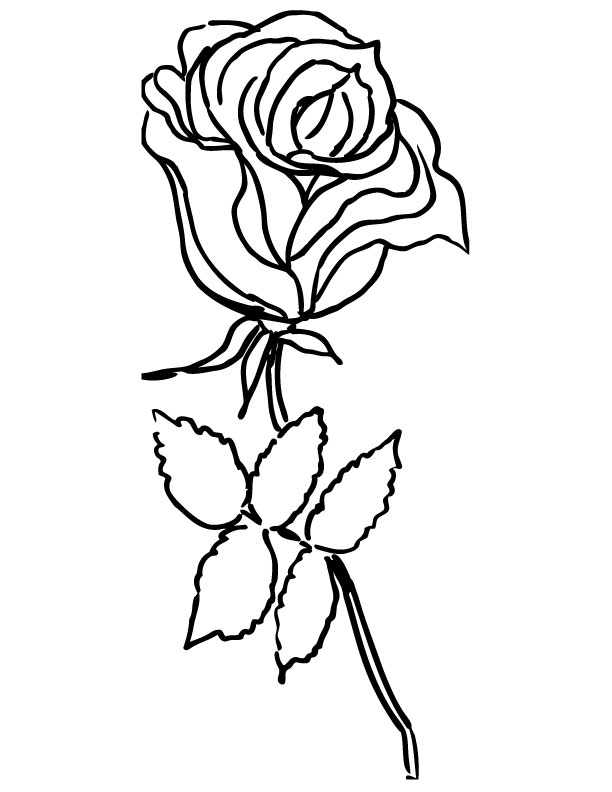 111+ Rose Coloring Pages: Beautiful and Blooming 54