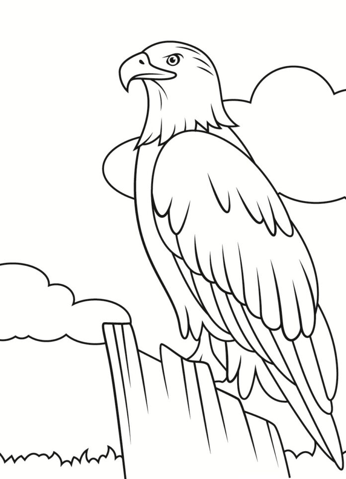 113 Big Bird Coloring Pages Printable 18