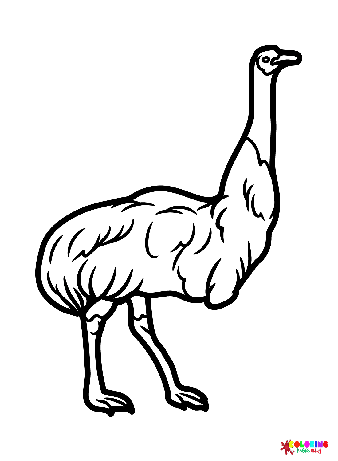 165+ Emu Coloring Pages Printable 12