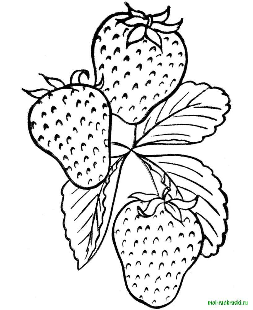 50+ Strawberries Coloring Pages 26