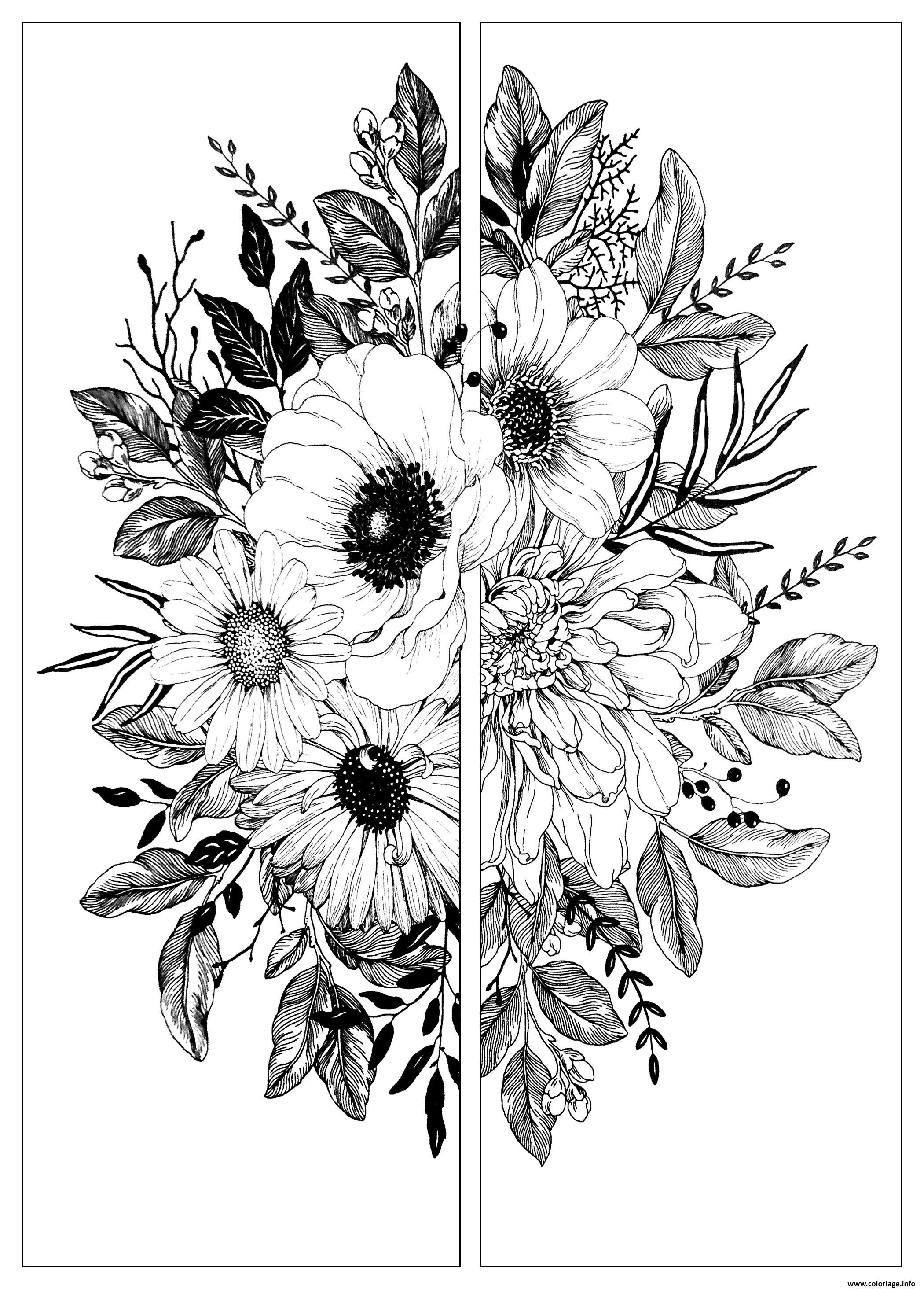 100+ Gorgeous Chrysanthemum Coloring Pages Printable 25