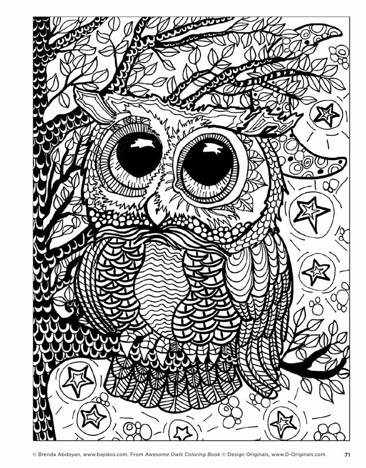 34 Wise Owl Coloring Pages Printable 14