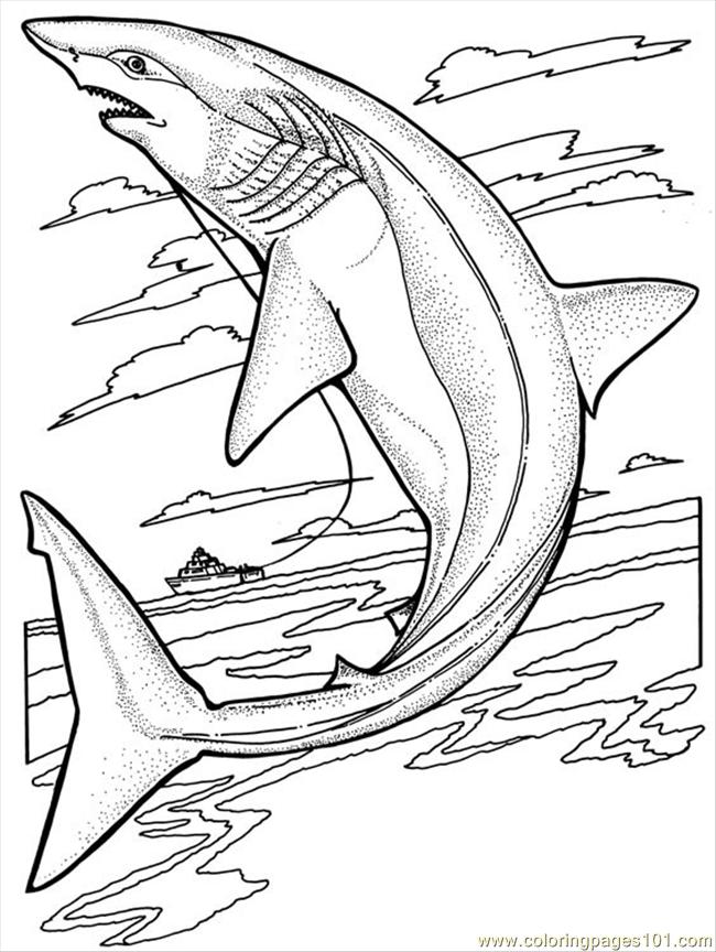 36 Fearsome Shark Coloring Pages Printable 31