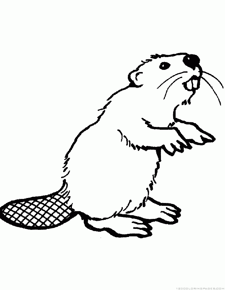 32 Busy Beaver Coloring Pages Printable 10