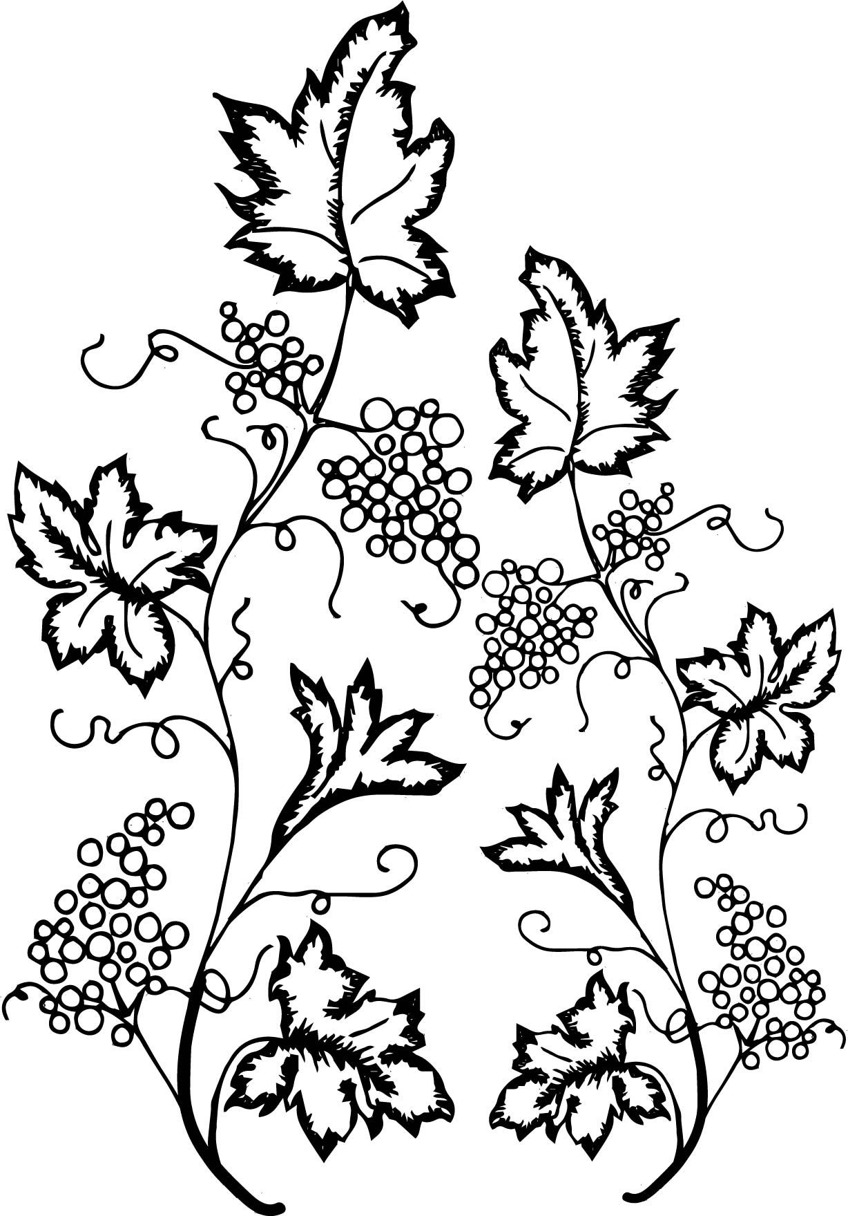 32 Elegant Ivy Coloring Pages Printable 6