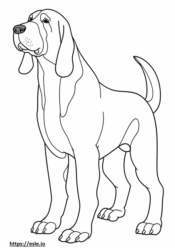 33 Basset Hound Coloring Pages Printable 27