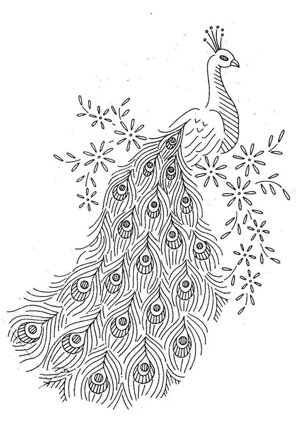 37 Elegant Peacock Coloring Pages Printable 14