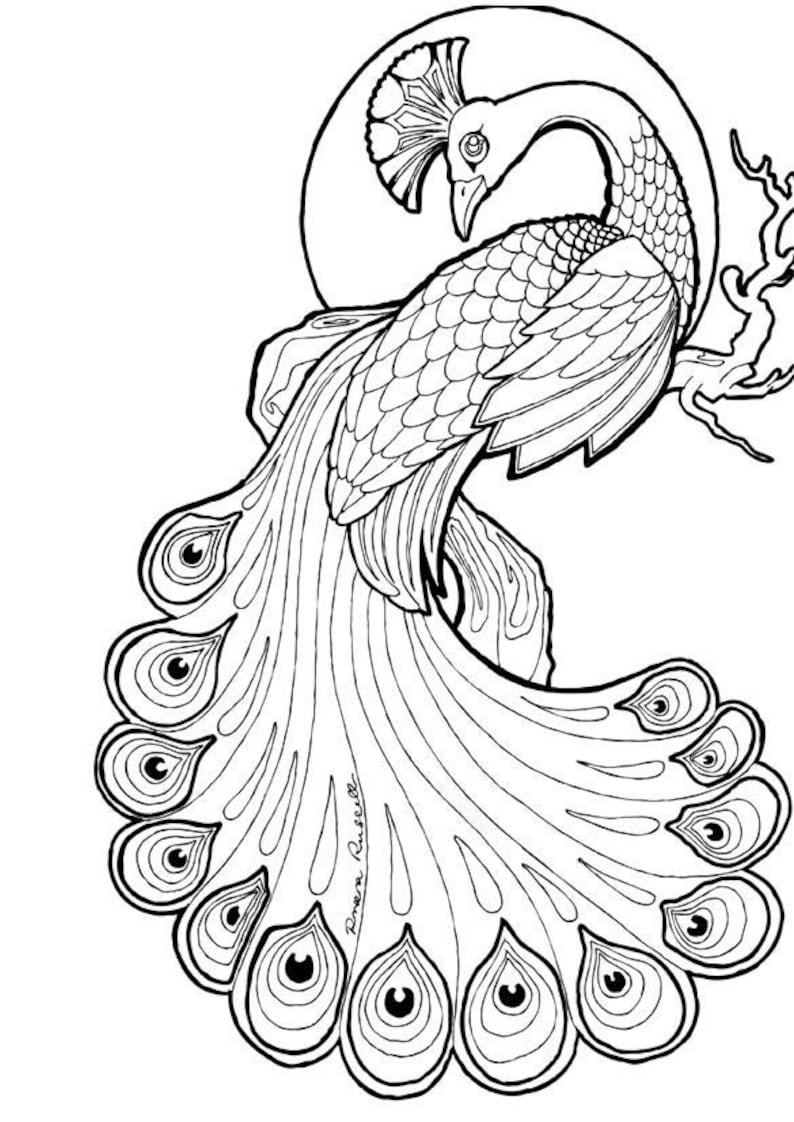 37 Elegant Peacock Coloring Pages Printable 25