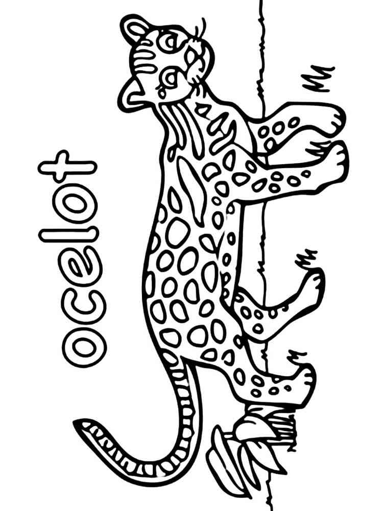 96 Ocelot Coloring Pages Printable 52