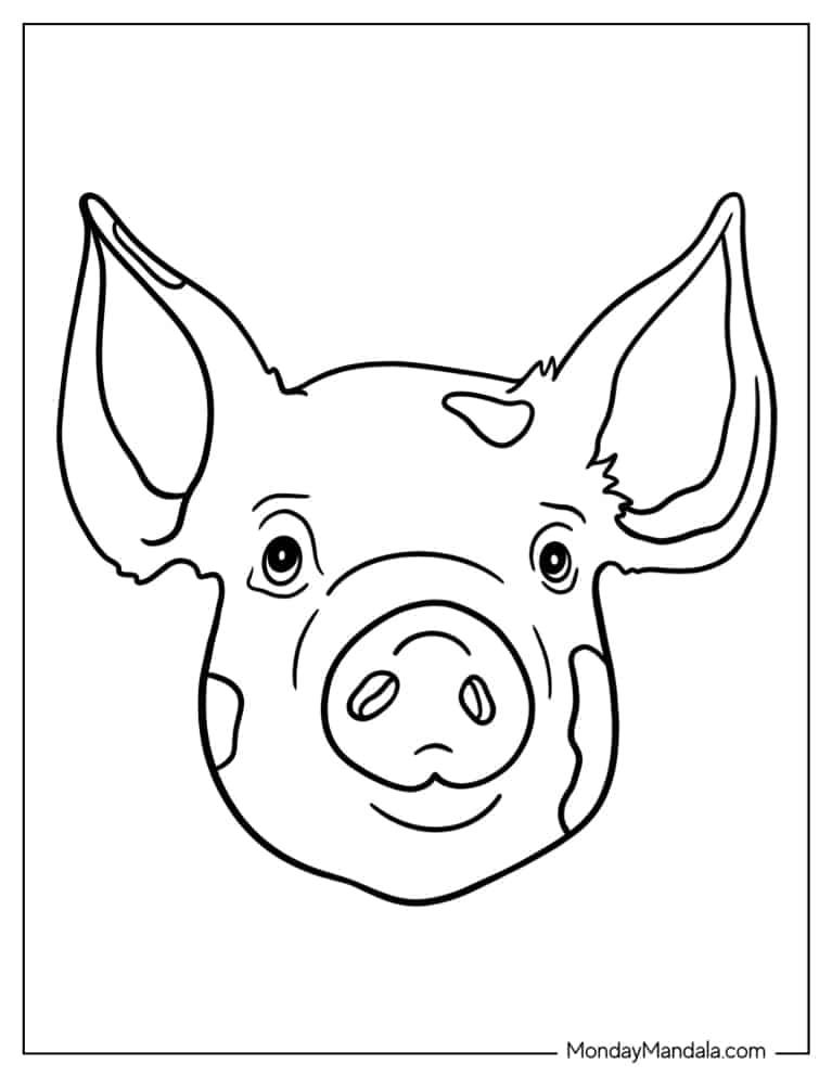 34+ Cute Easy Pig Coloring Pages PDF Printable