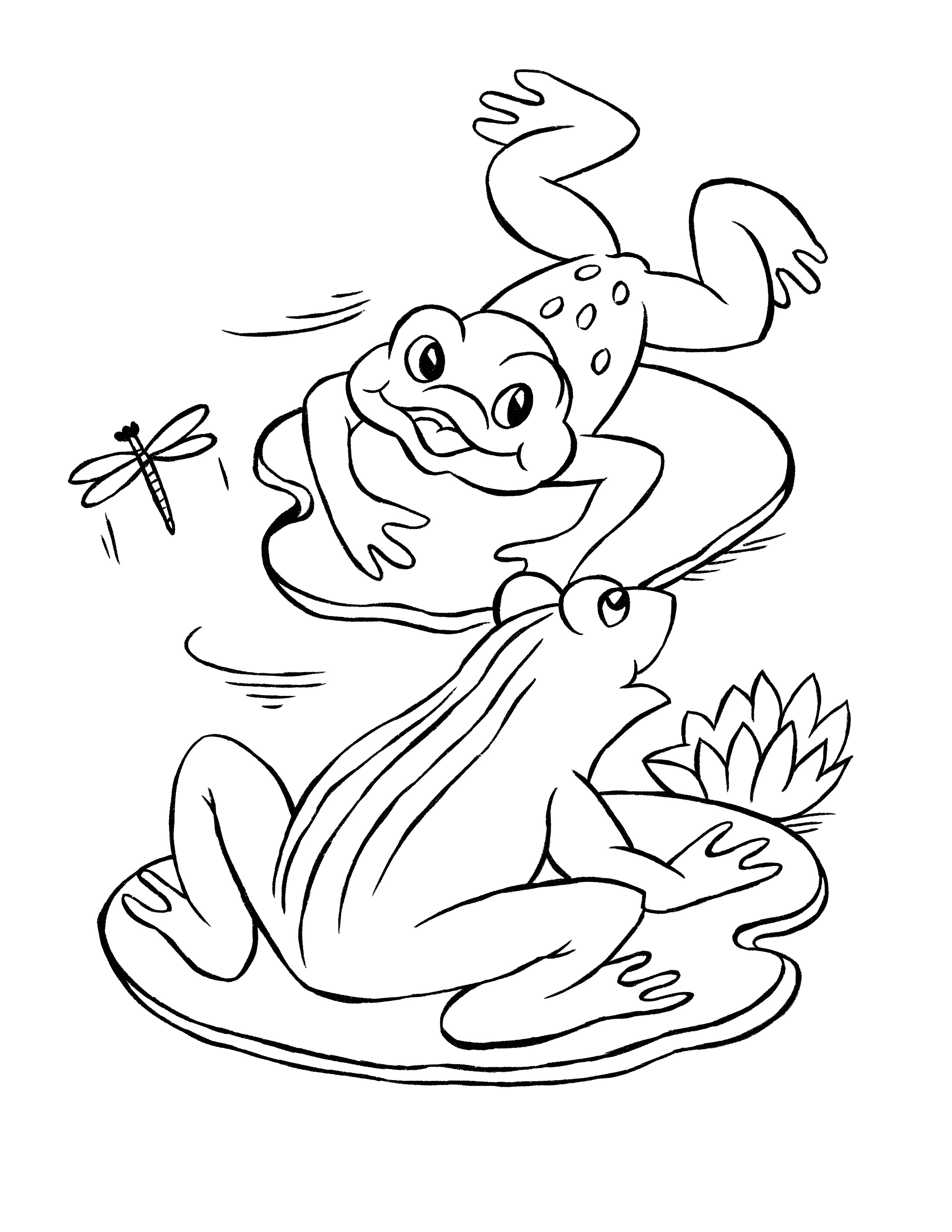 45 Frog Coloring Pages for Adult Free Printable 169