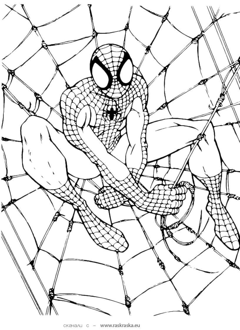 160+ Spiderman Coloring Pages 119