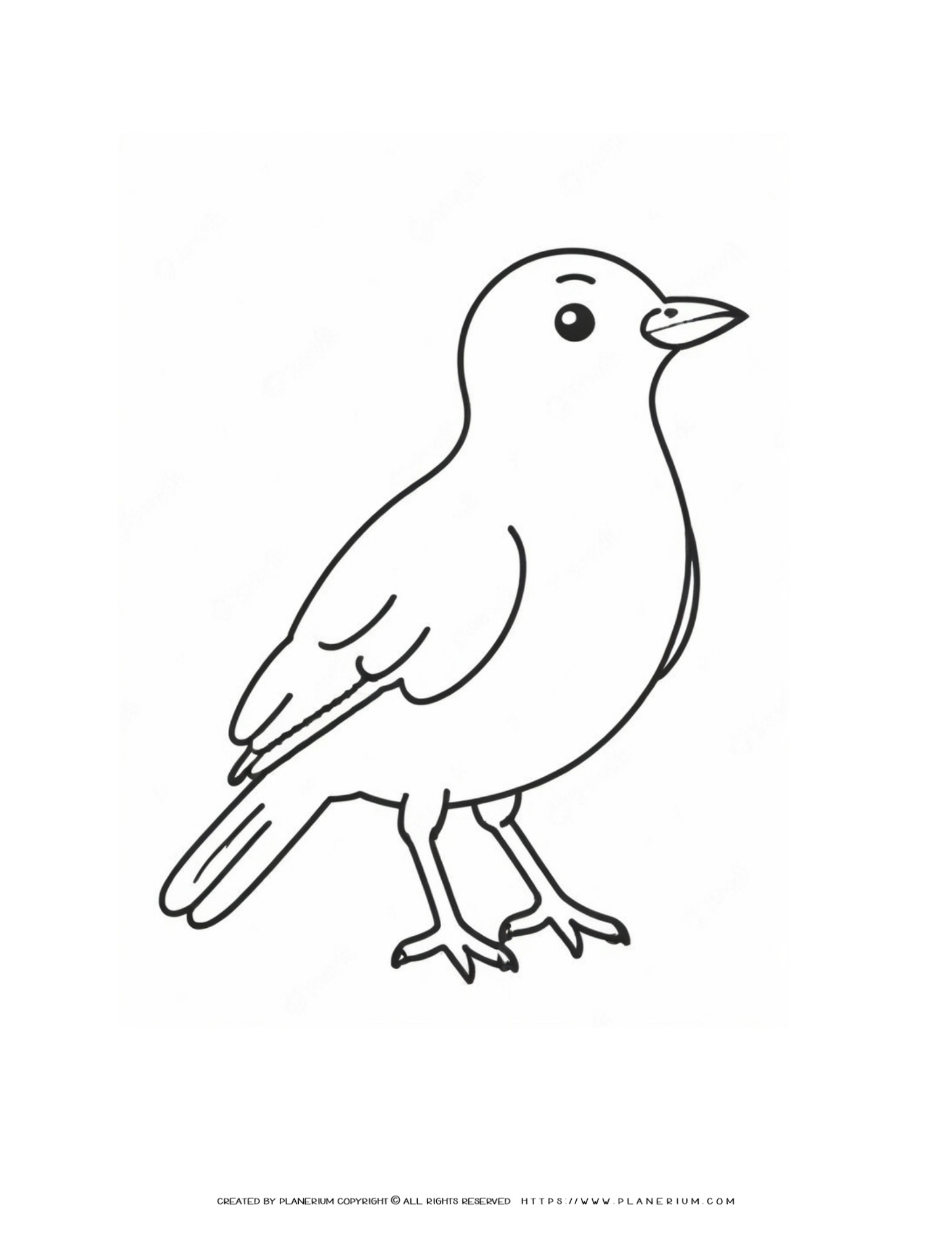 113 Big Bird Coloring Pages Printable 40