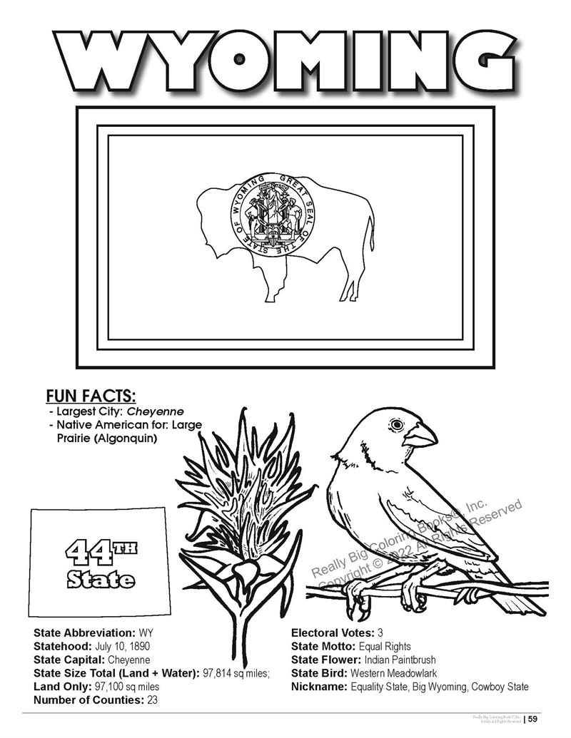 big bird coloring pages printable jpg