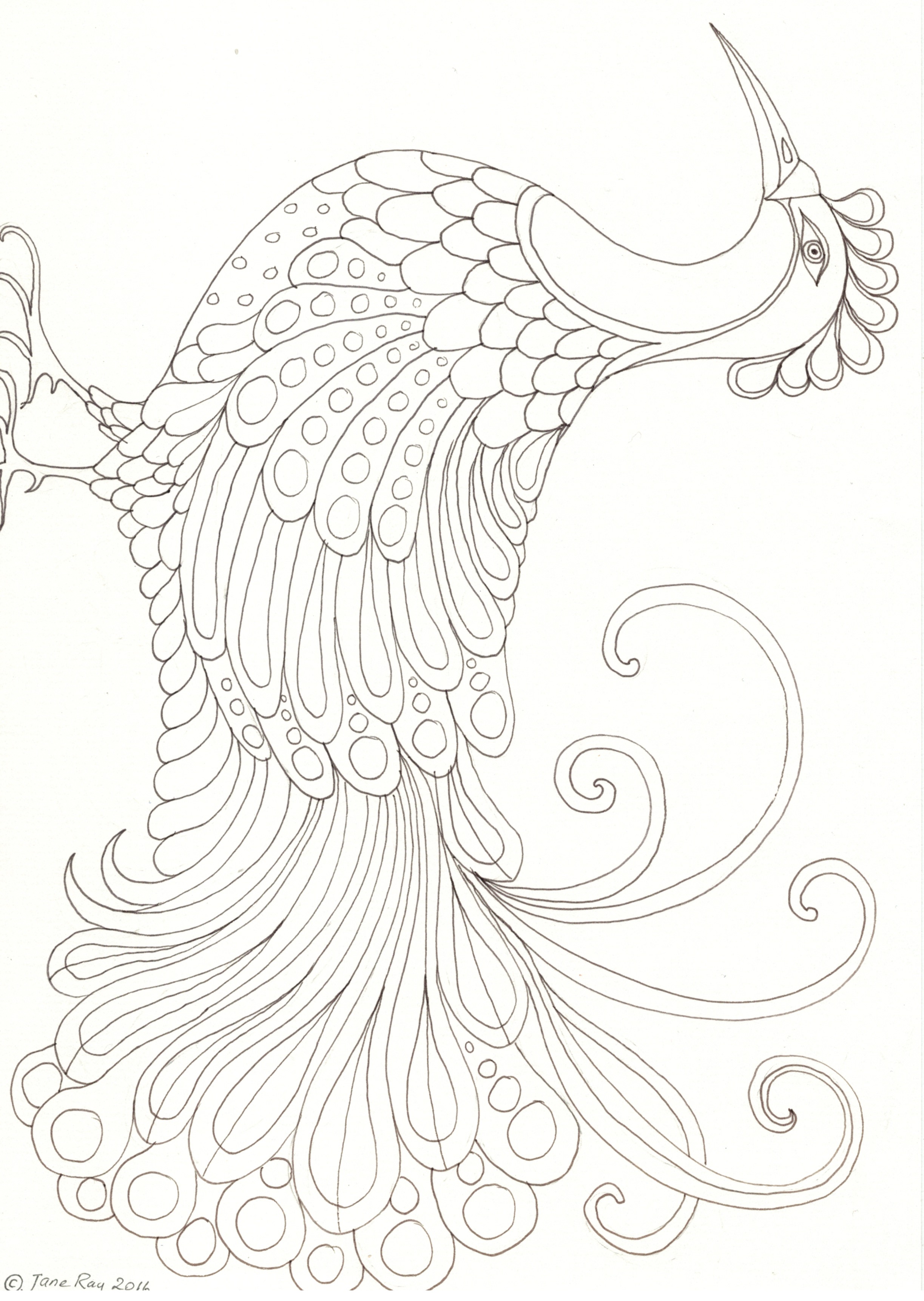 big bird coloring pages printable jpg