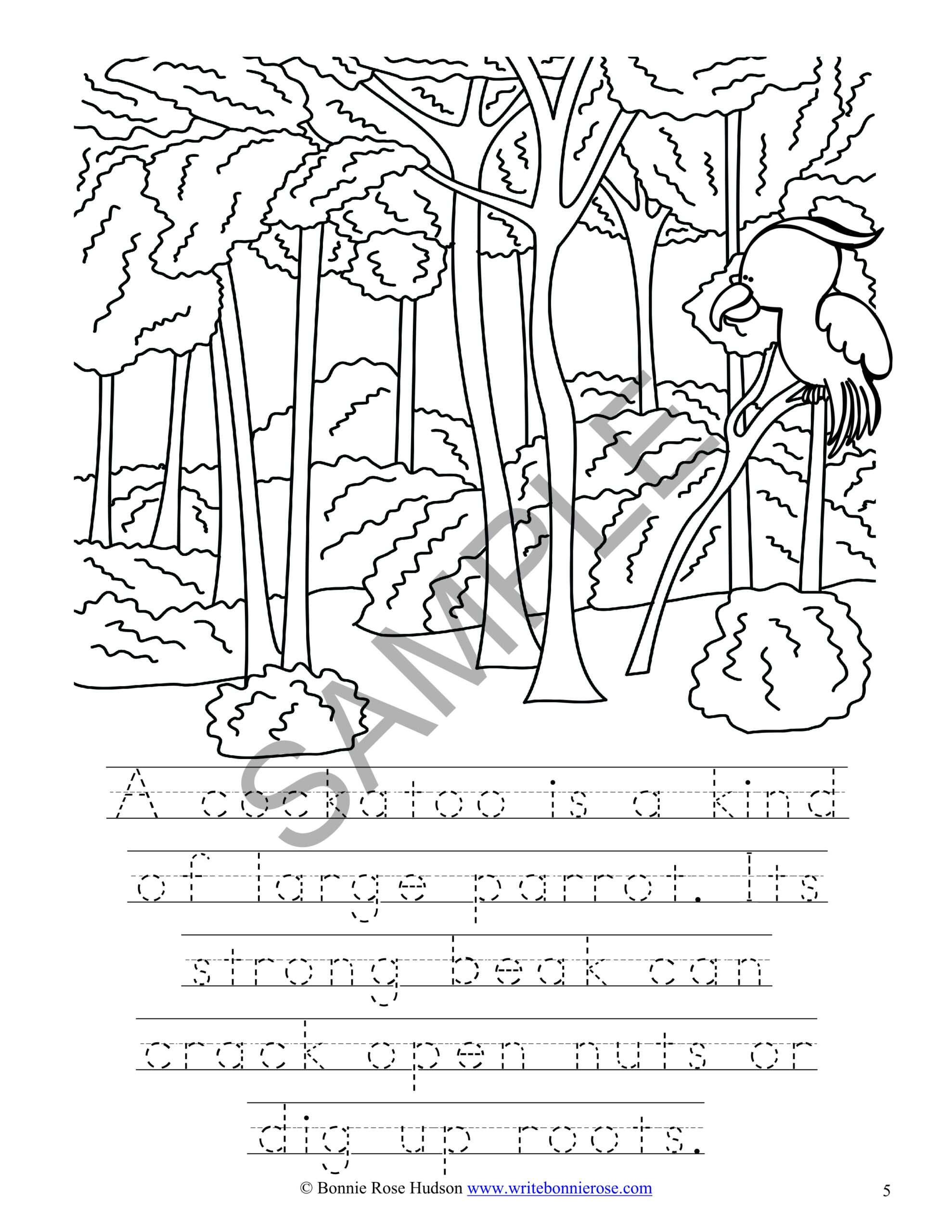 165+ Emu Coloring Pages Printable 64