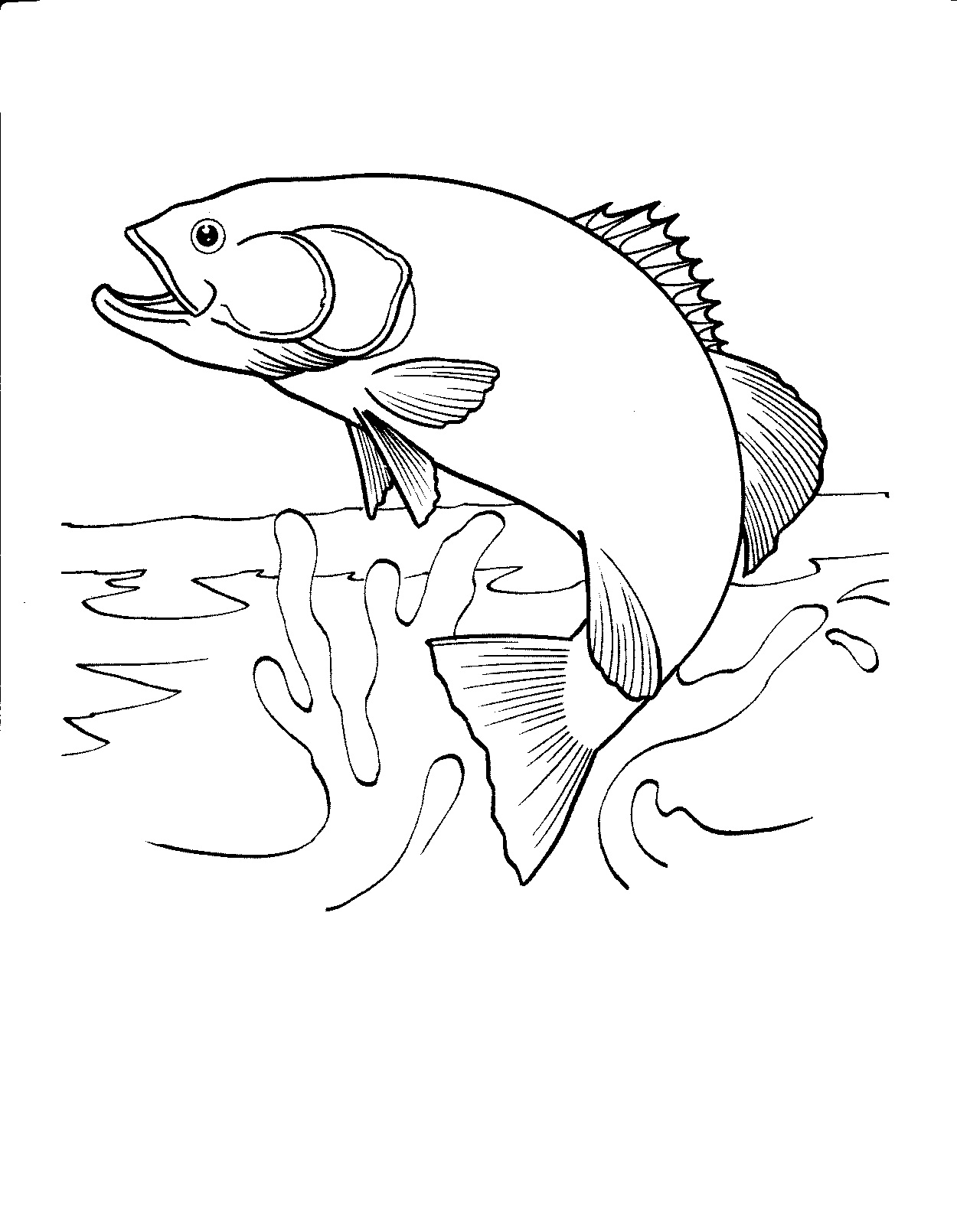 174 Fishing Coloring Page Designs: Reel in the Fun 27