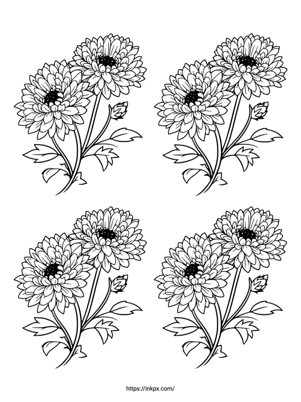 100+ Gorgeous Chrysanthemum Coloring Pages Printable 17