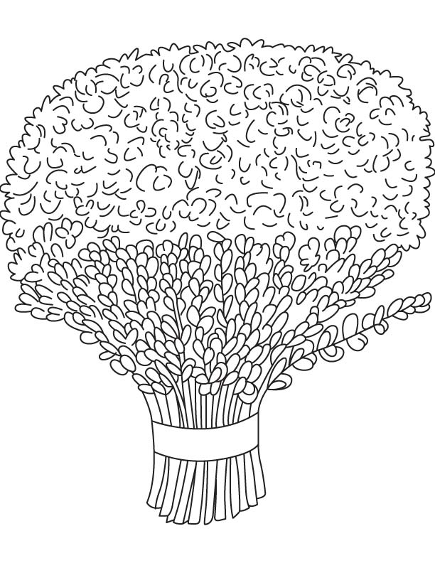 gorgeous chrysanthemum coloring pages printable jpg