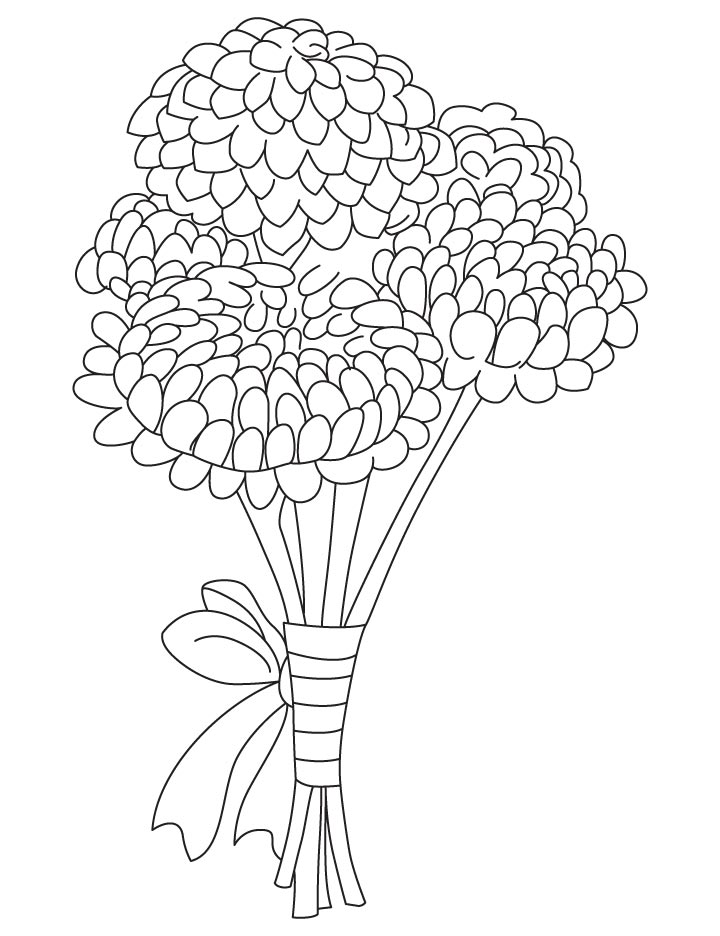 gorgeous chrysanthemum coloring pages printable jpg