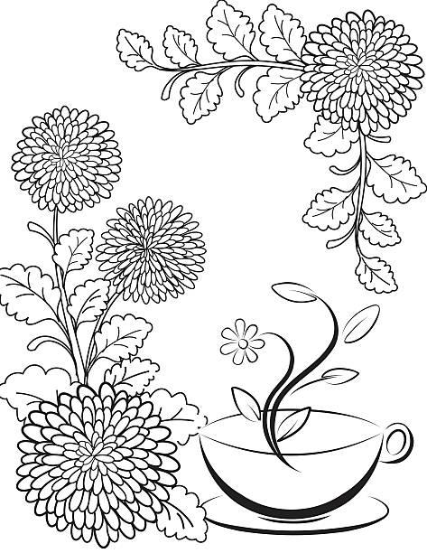 gorgeous chrysanthemum coloring pages printable jpg