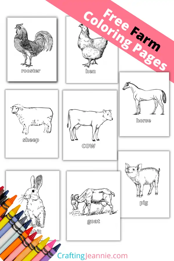 30 Fun Farm Animal Coloring Pages Printable 7