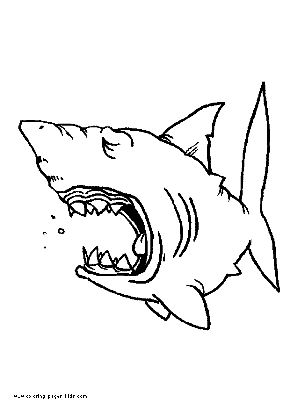 fearsome shark coloring pages printable jpg