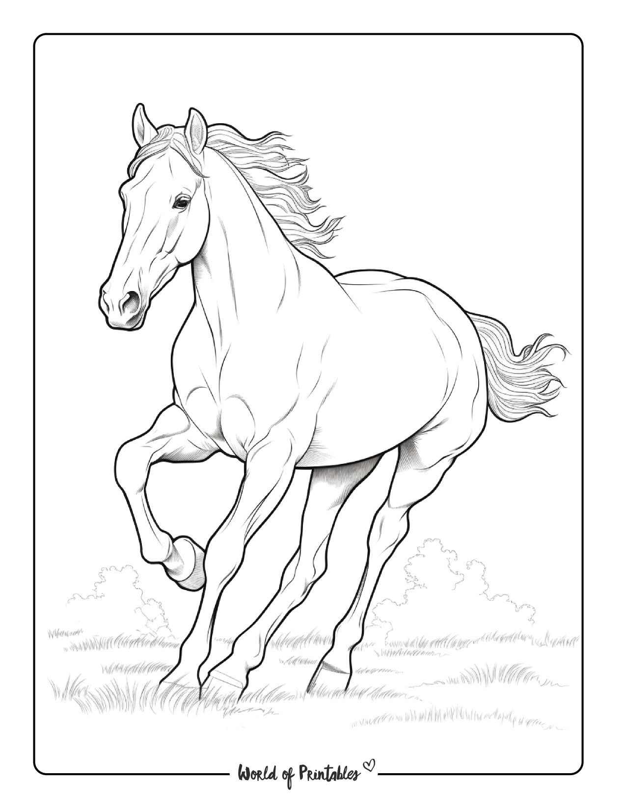 69 Exciting Coloring Pages for Horse Lovers