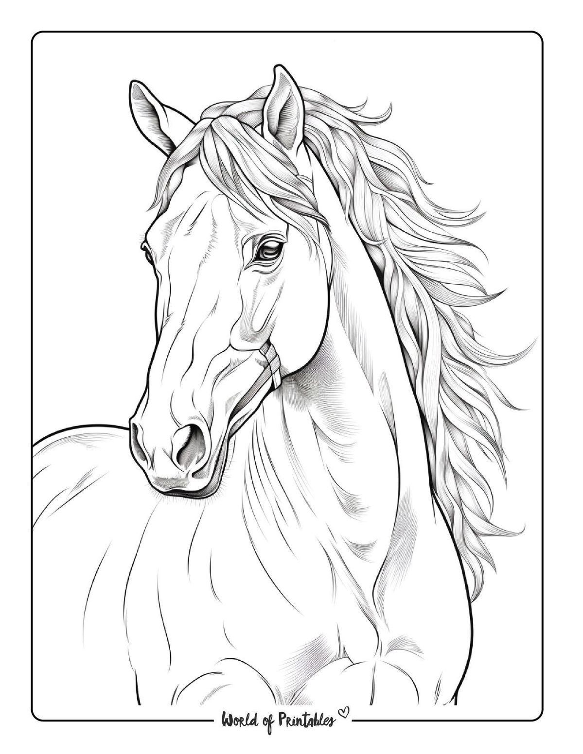 79 Adorable Cute Horse Coloring Pages for Kids Printable