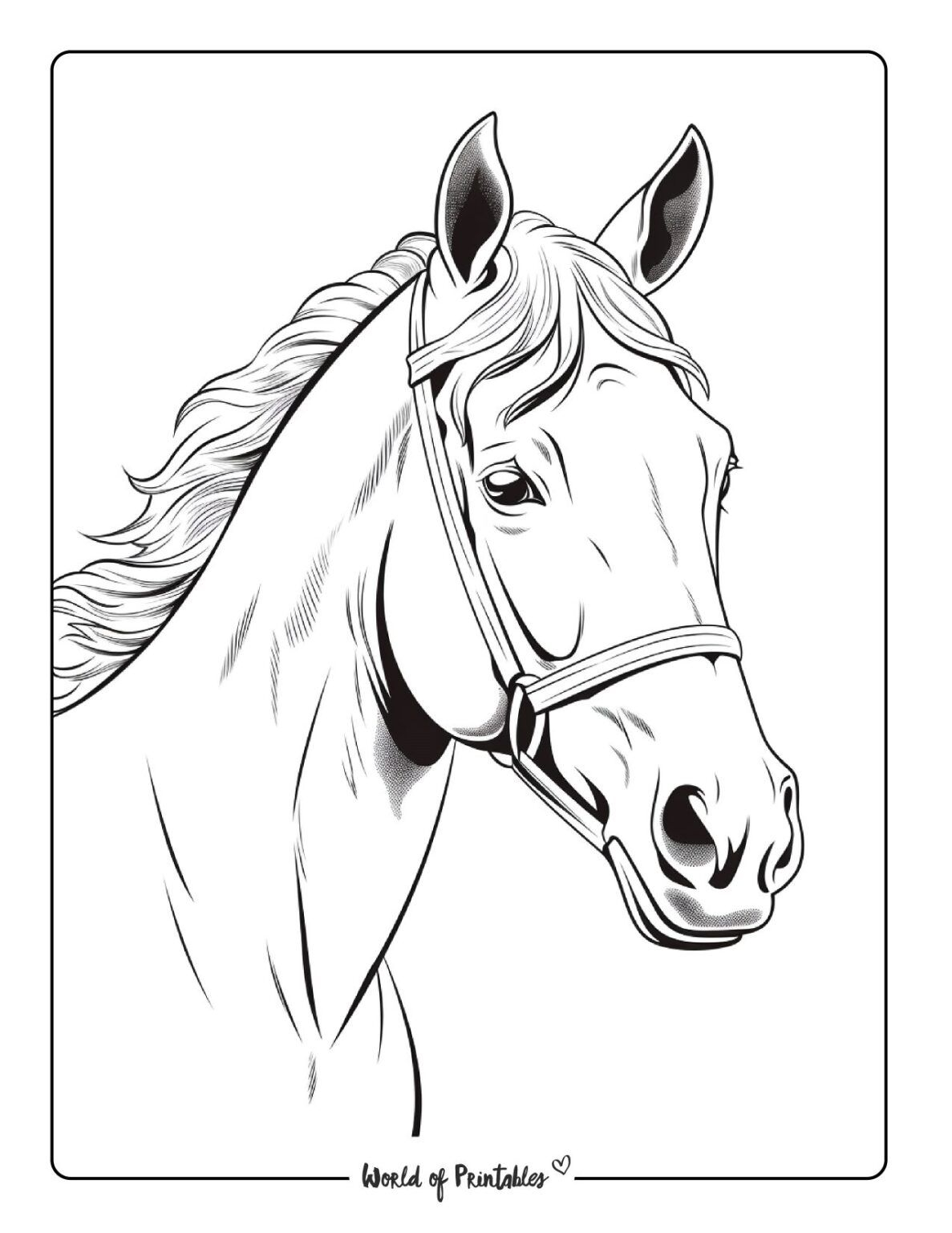 80 Exciting Horse Land Coloring Pages Printable