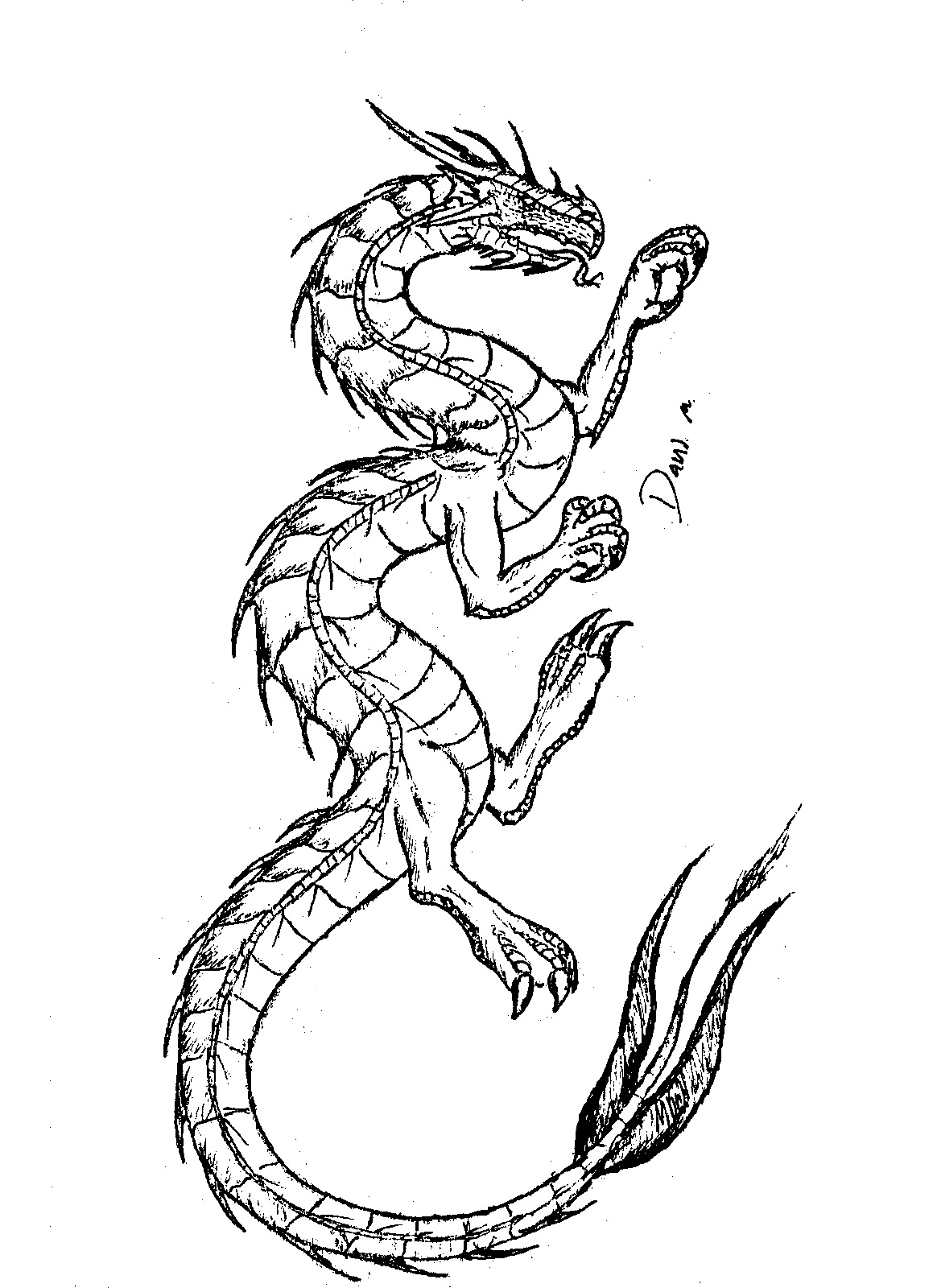 95 Unique Bearded Dragon Coloring Pages Printable 18