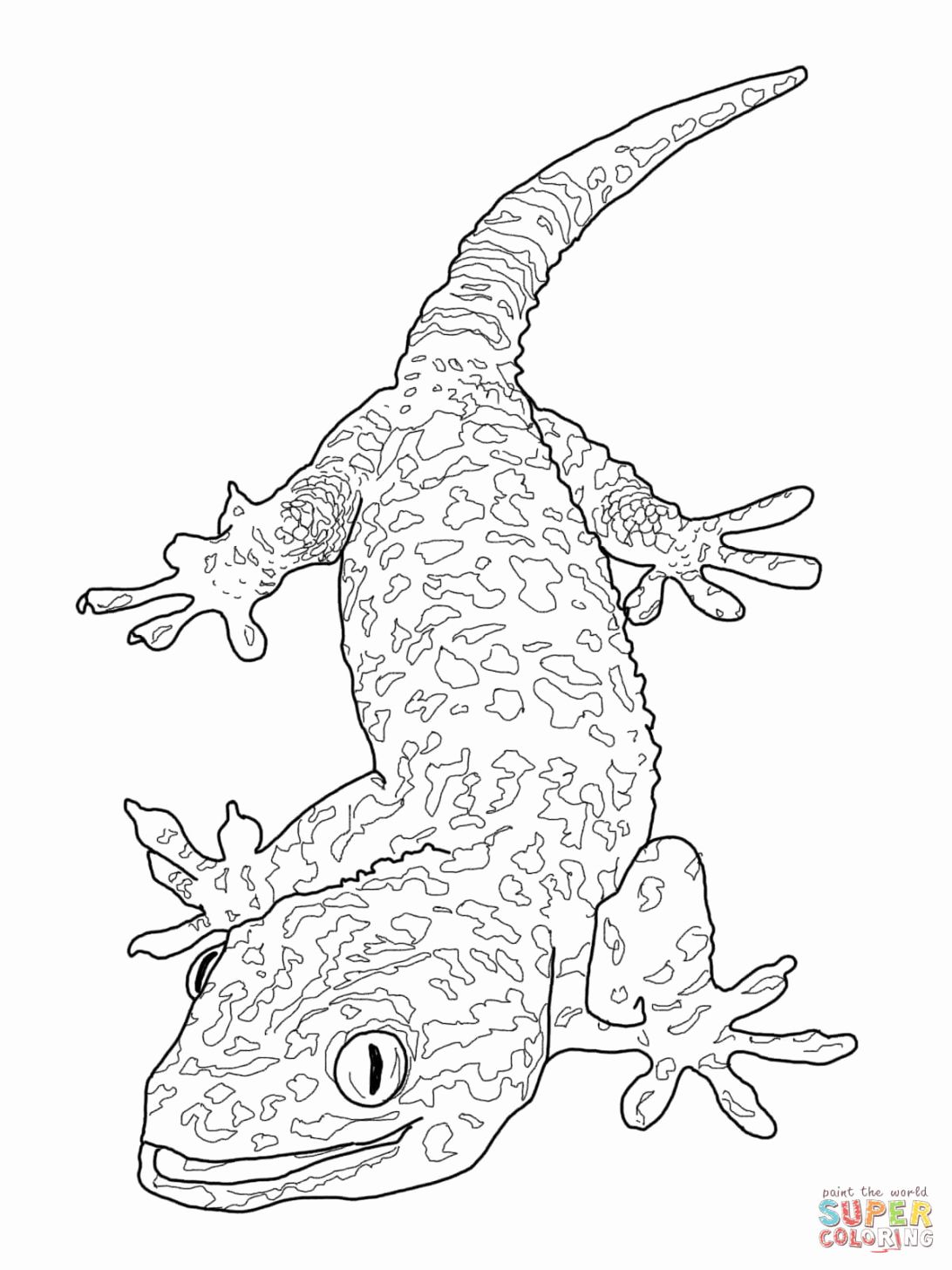 95 Unique Bearded Dragon Coloring Pages Printable 33