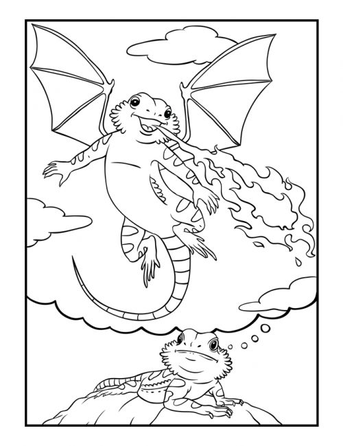 unique bearded dragon coloring pages printable jpg