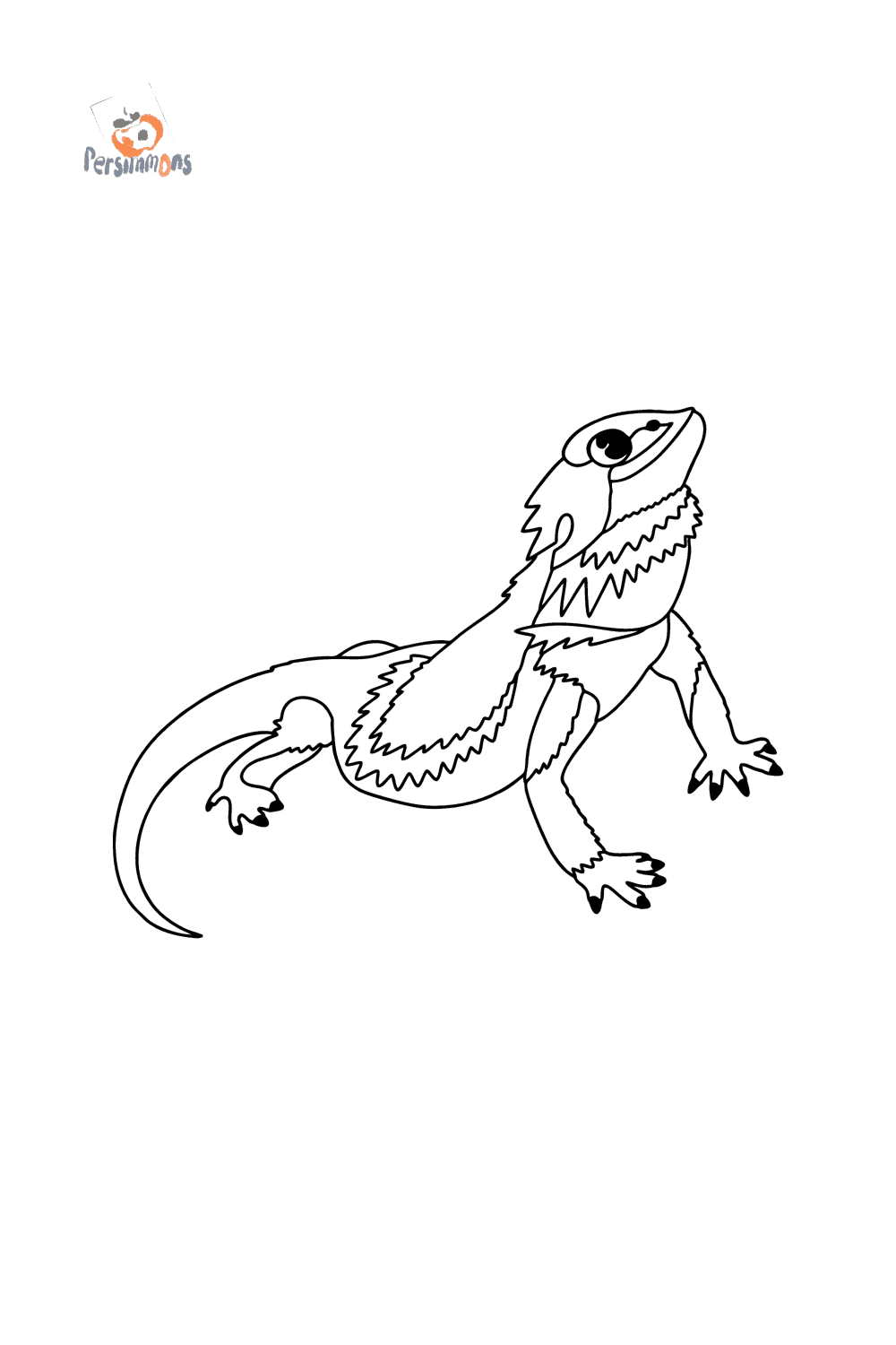 unique bearded dragon coloring pages printable jpg