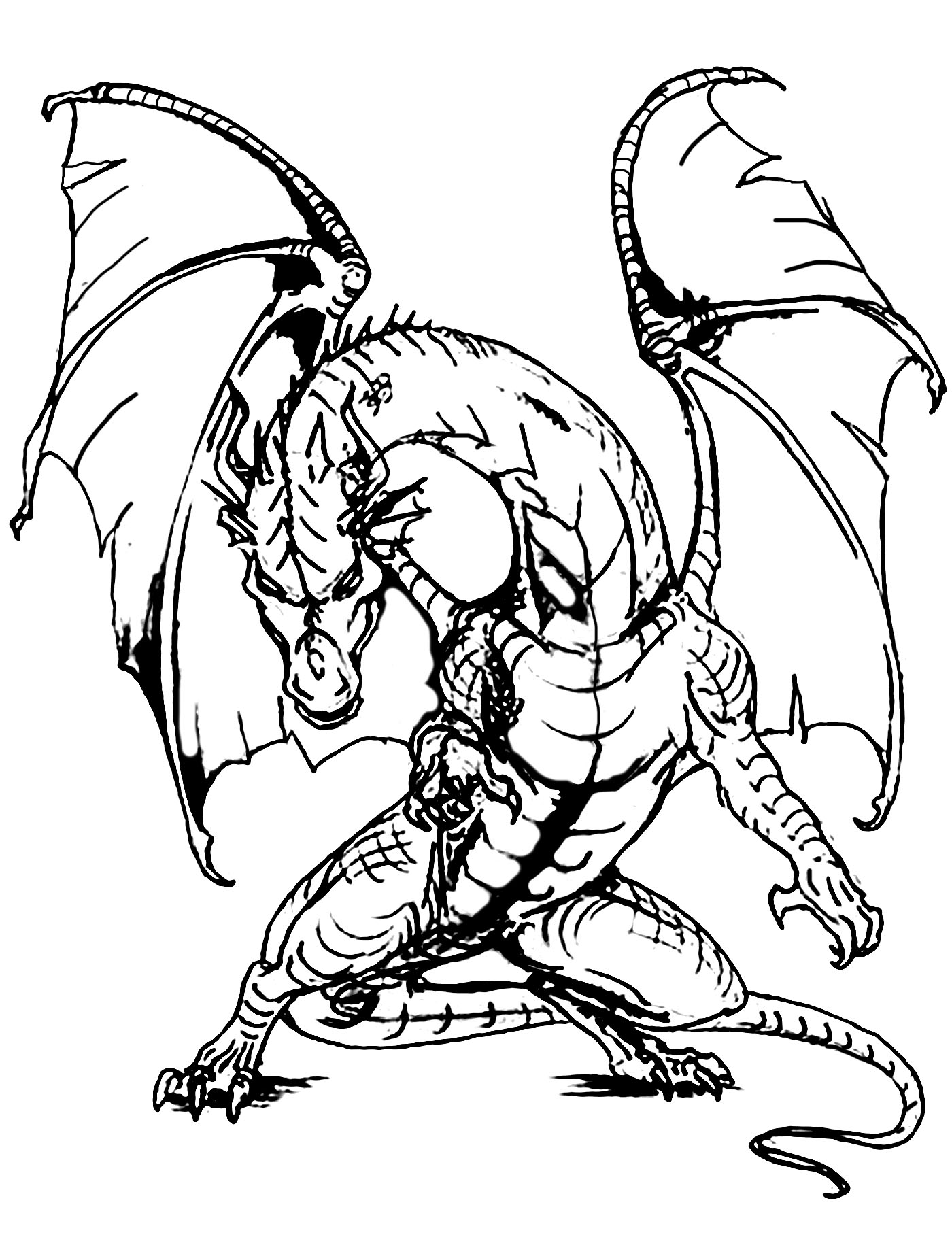 unique bearded dragon coloring pages printable jpg