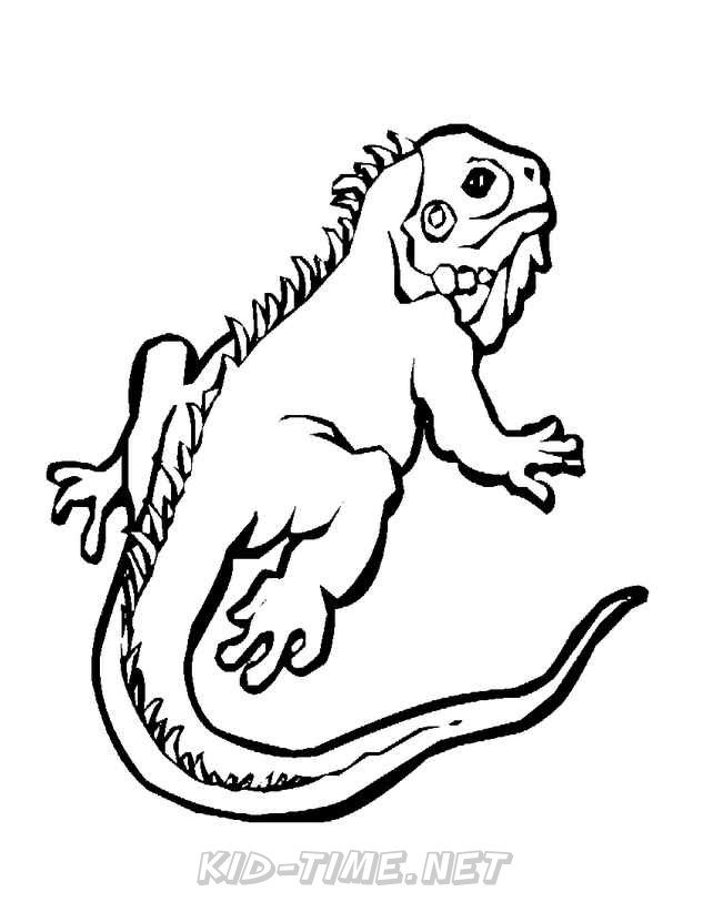 unique bearded dragon coloring pages printable jpg