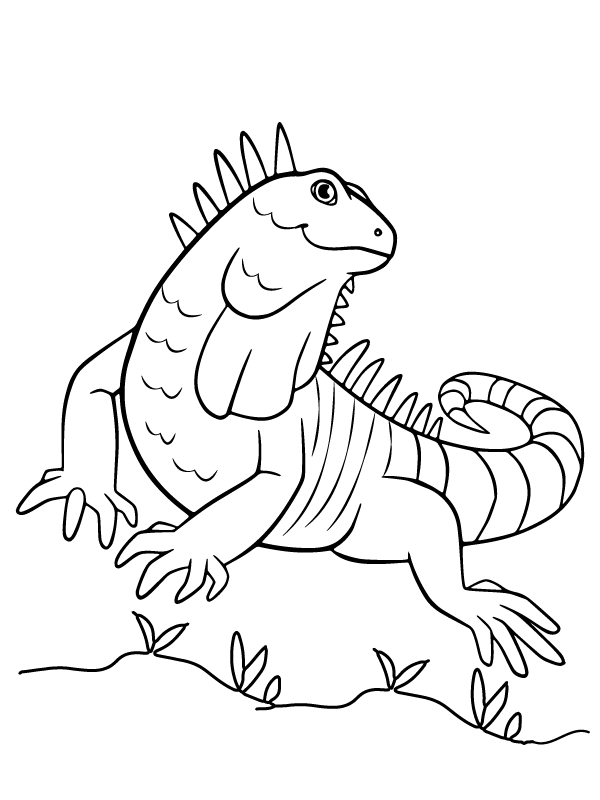 unique bearded dragon coloring pages printable jpg