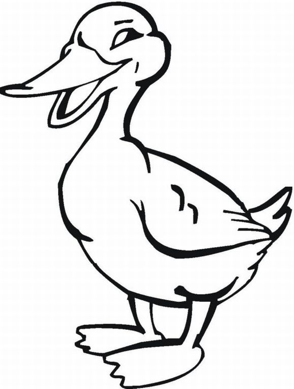 farm animal coloring pages printable jpg