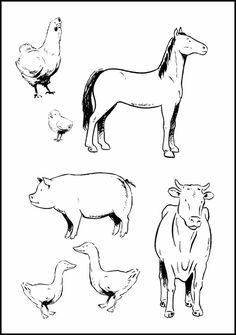 farm animal coloring pages printable jpg