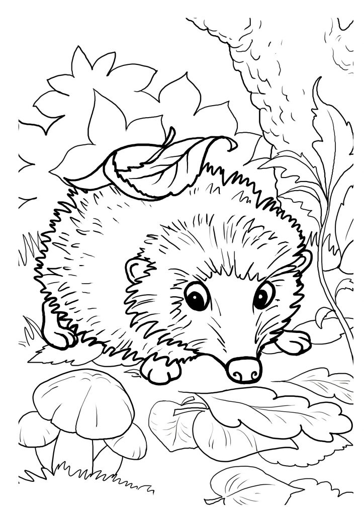 shadowy hedgehog coloring pages printable jpg