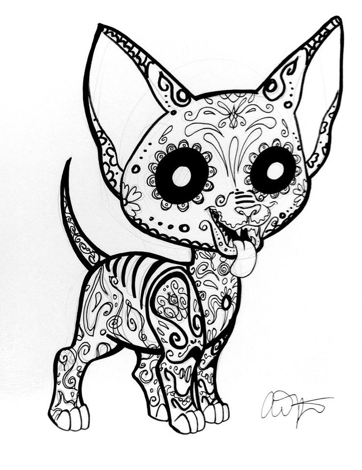 tiny chihuahua coloring pages printable jpg