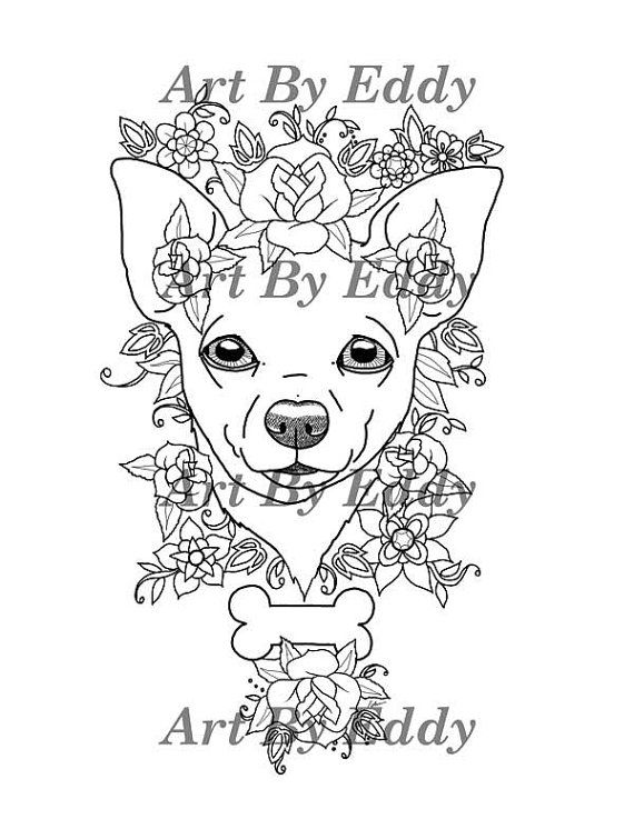 tiny chihuahua coloring pages printable jpg