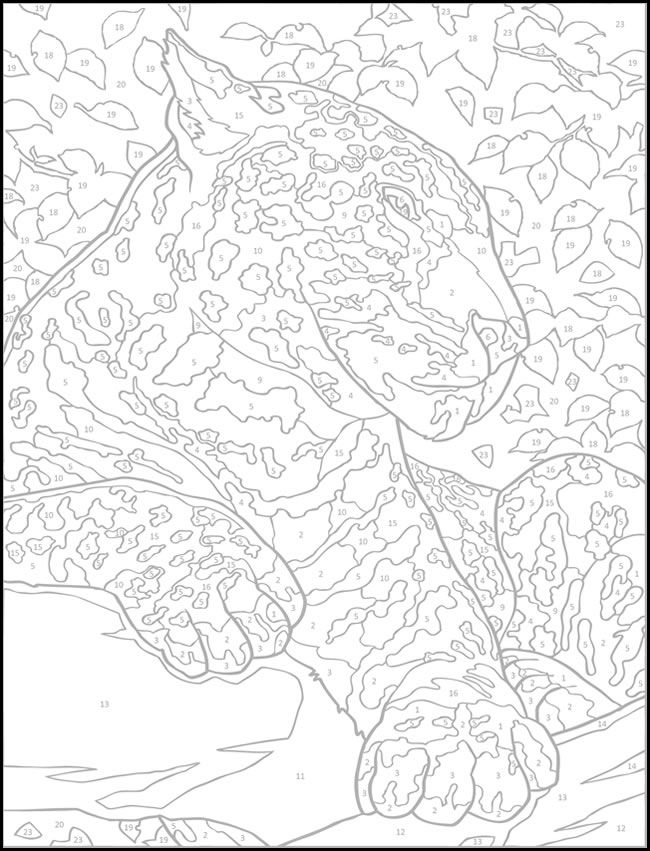 dragon color by number coloring pages printable jpg