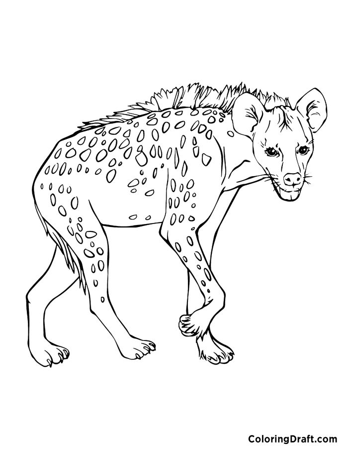 hyena coloring pages printable jpg