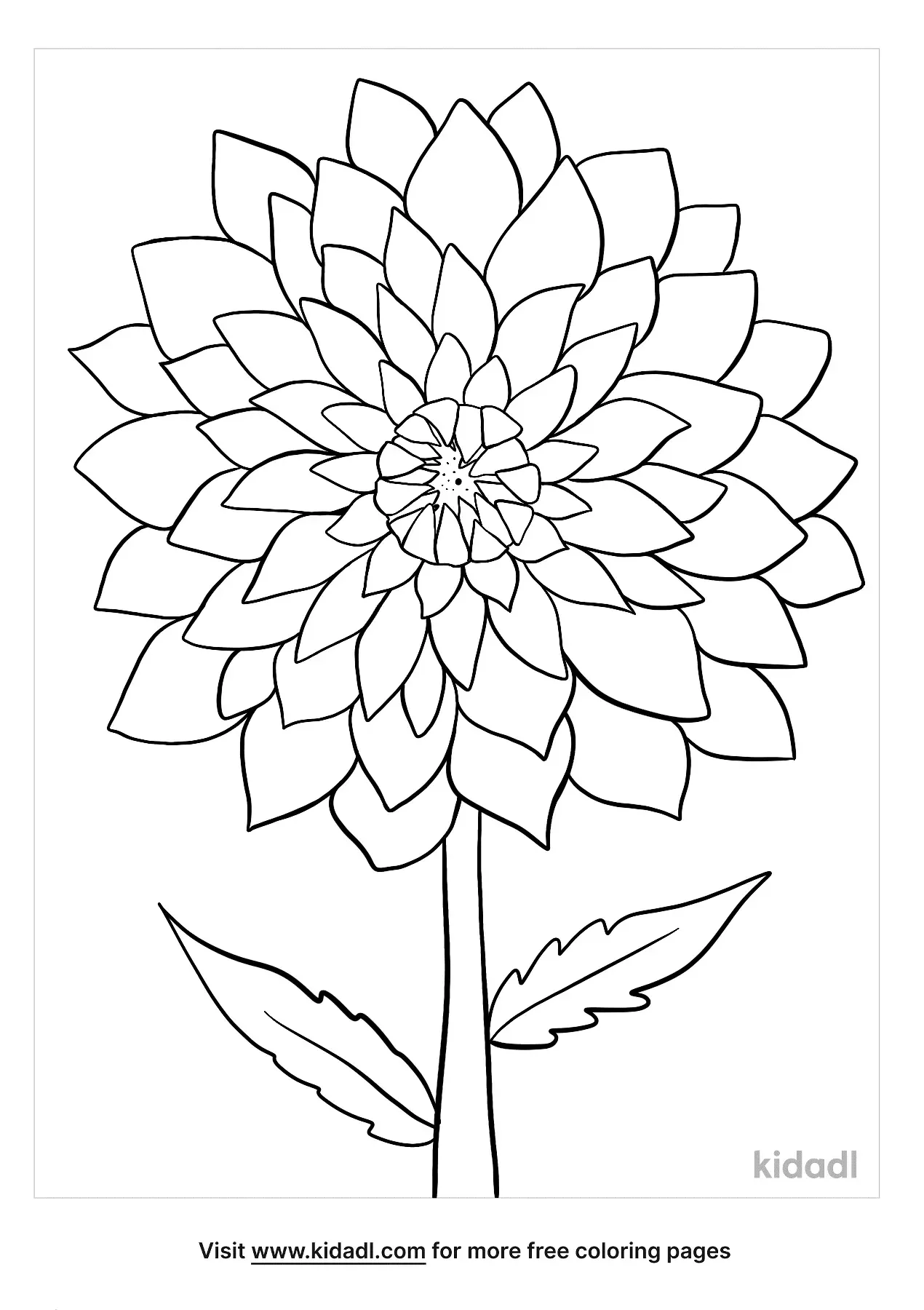 beautiful dahlia coloring pages printable jpg