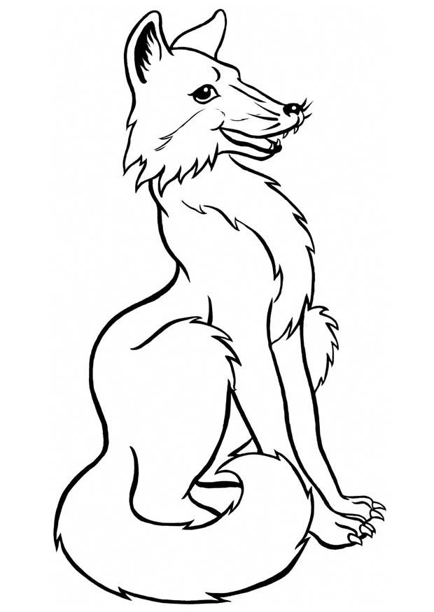 red fox coloring pages printable jpg