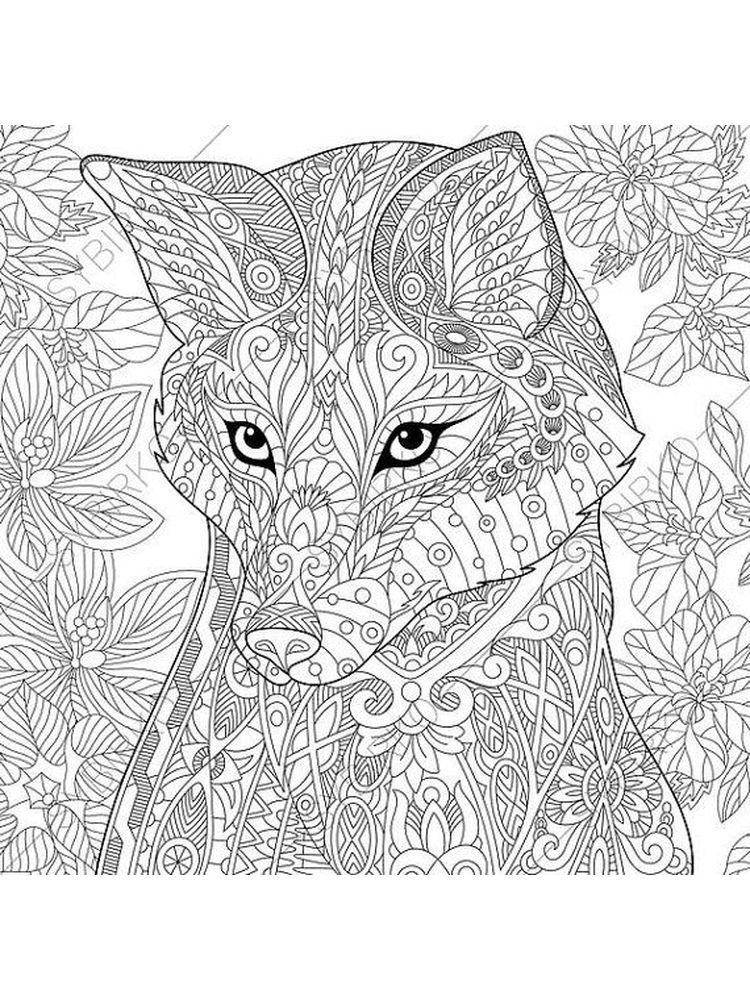 red fox coloring pages printable jpg