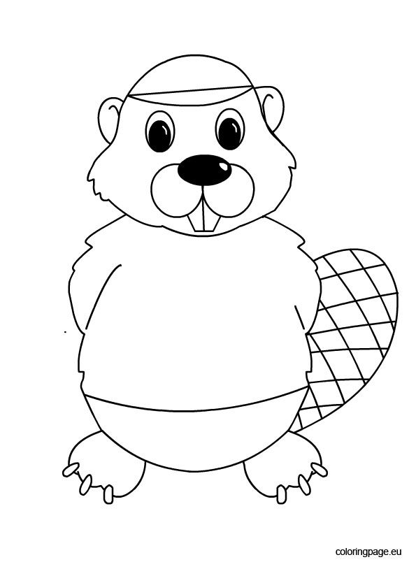 busy beaver coloring pages printable jpg